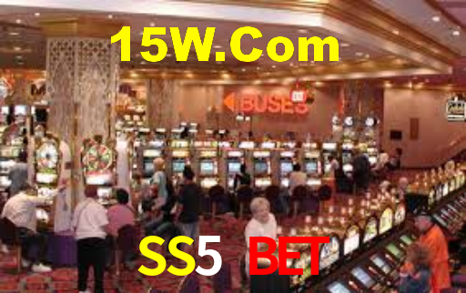 SS5 Plataforma